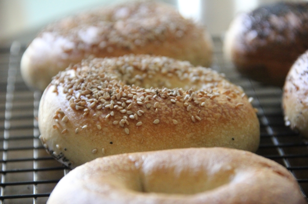 NY Style Bagels -- Wild Sourdough Version